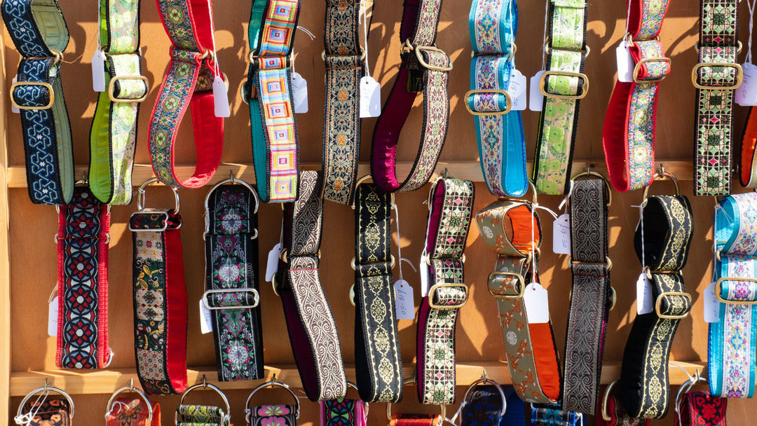 Collars, Leashes, Harnesses and More