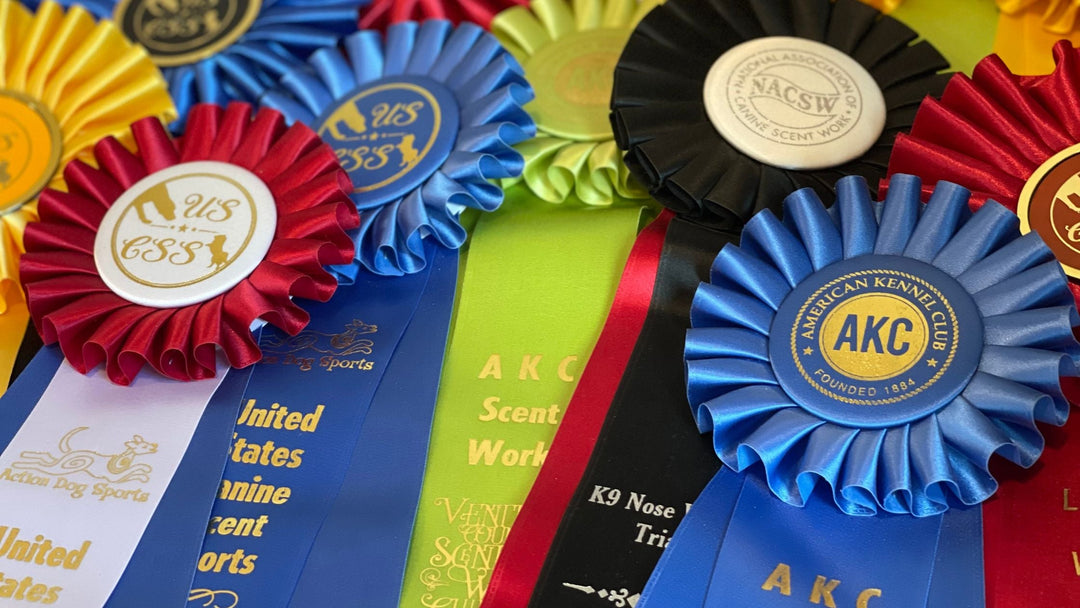 Competition Organizations