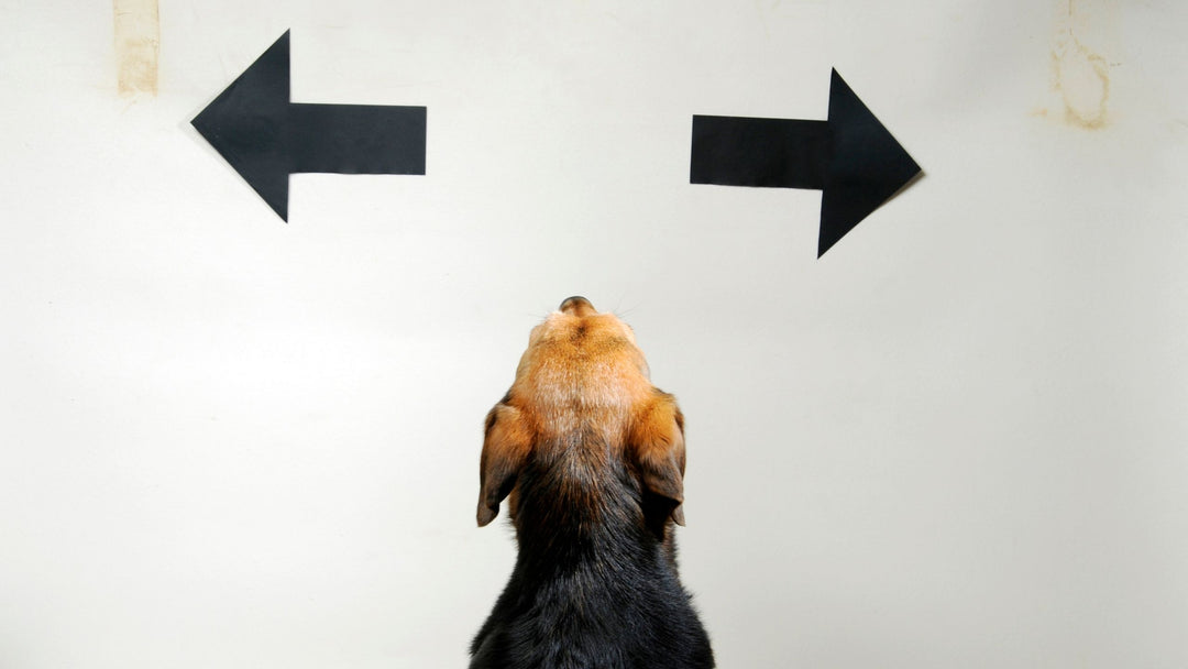 When Training at Home Backfires