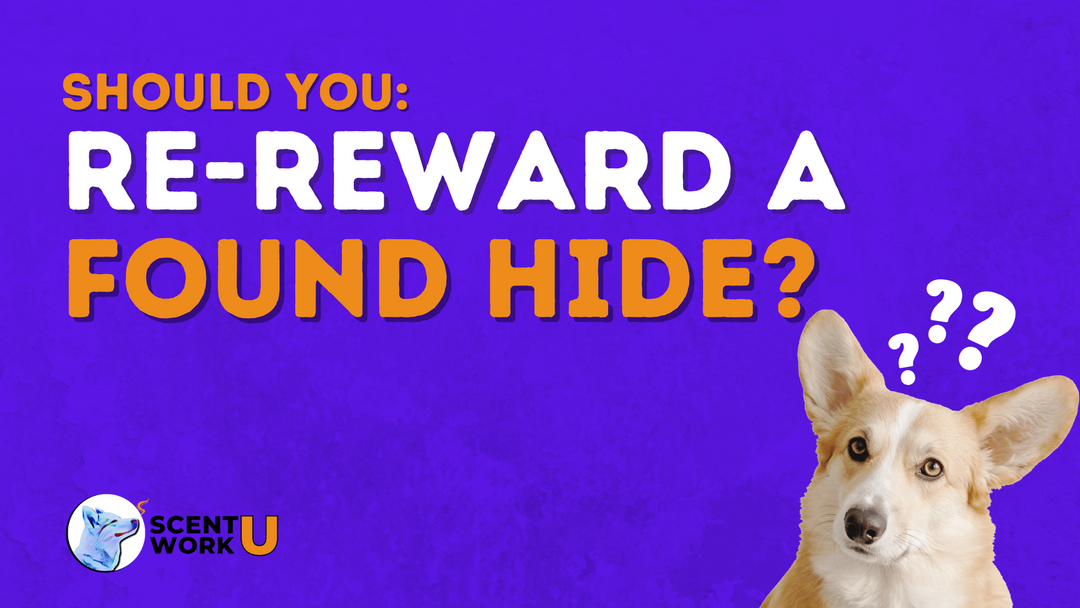 Should You Re-Reward a Found Hide?