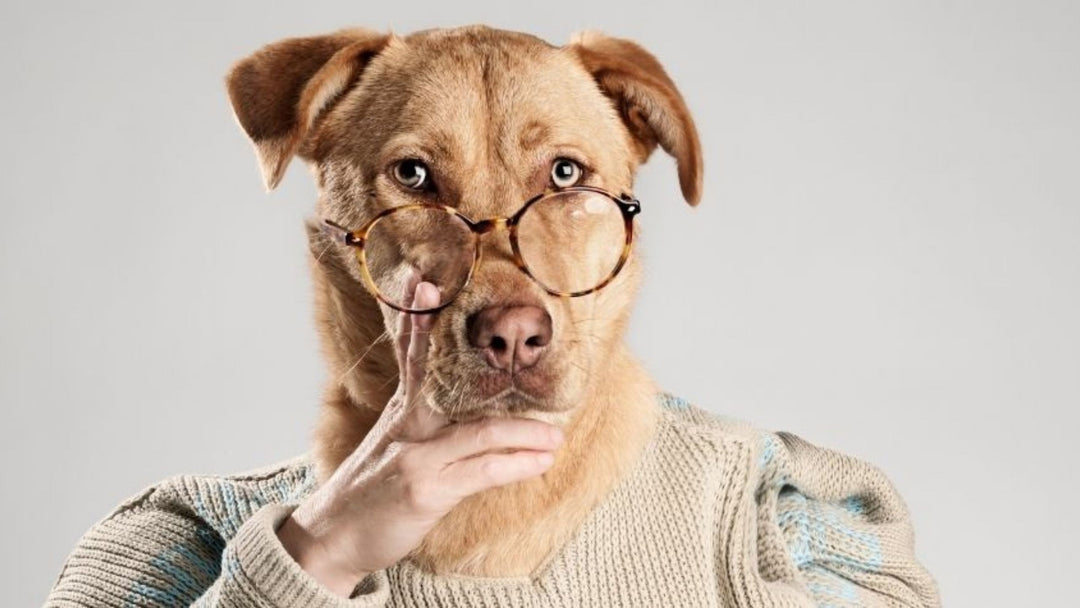 Reusing The Same Hide Location When Practicing - Yay or Nay?