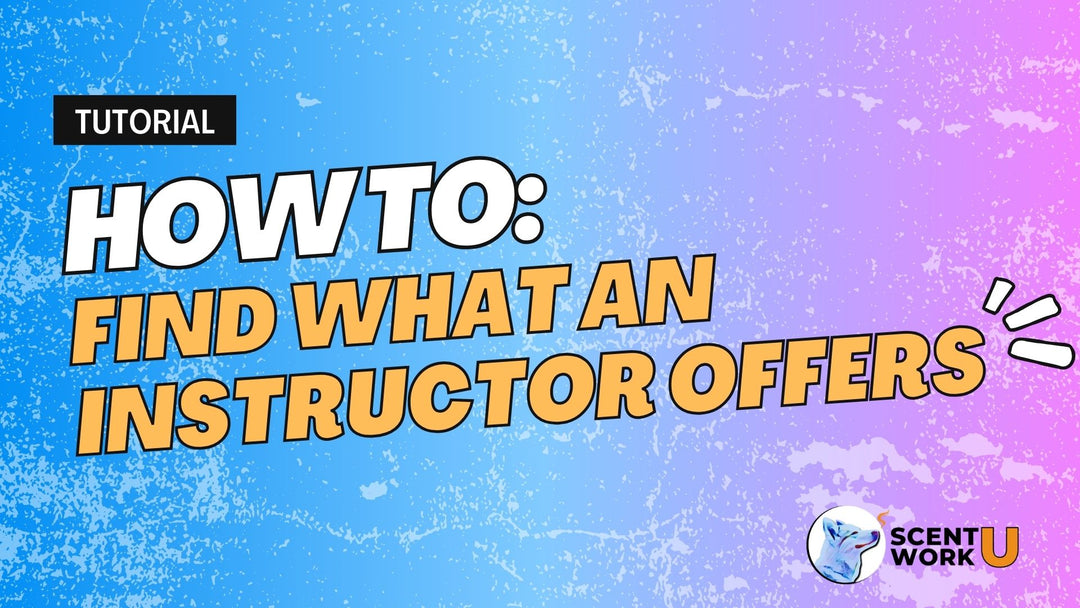 How to Find What an Instructor Offers