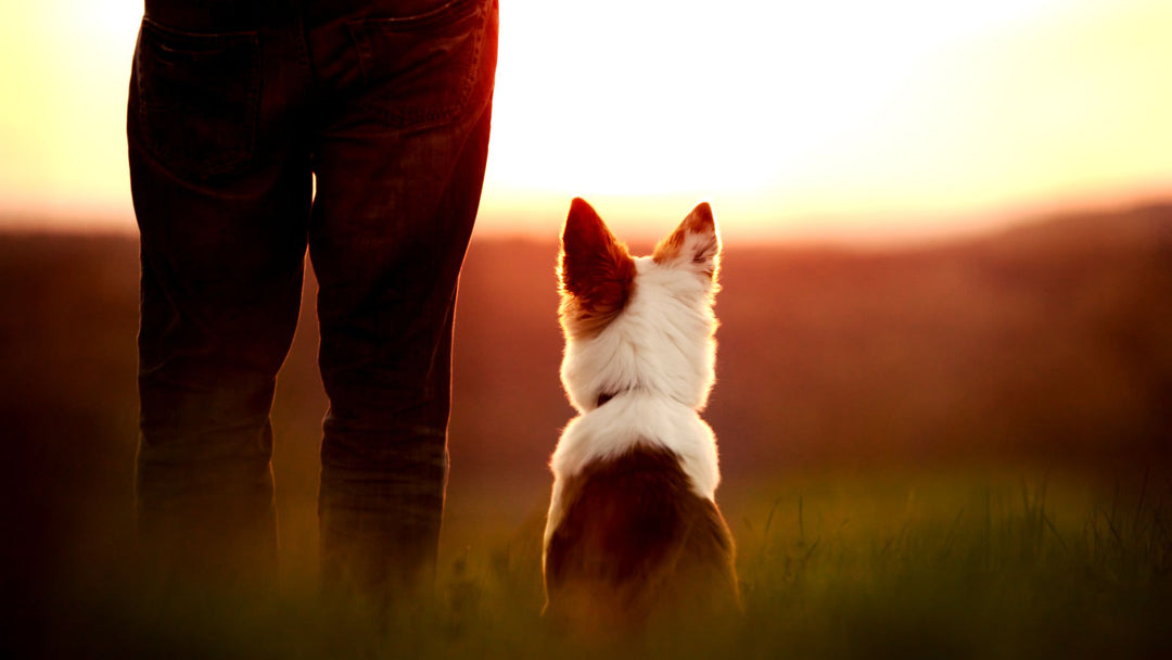 Heading Into a Trial Weekend