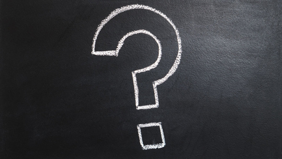 Online Dog Training WORKS!