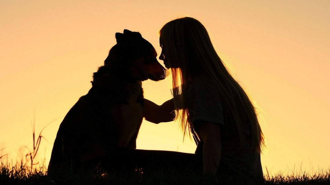 Partnerships Are Unique