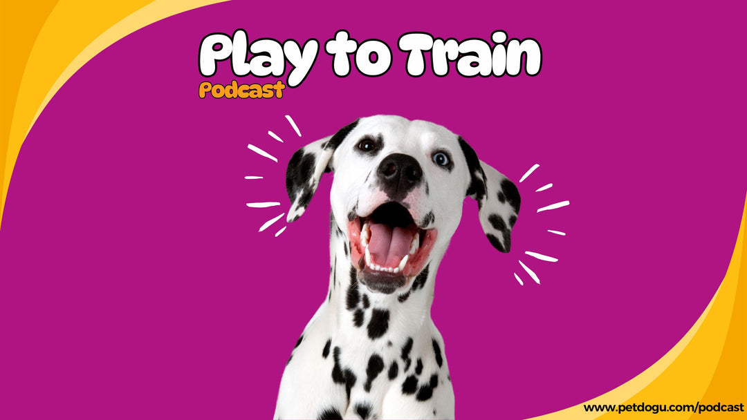 Ep. 19: Is Petting or Touching My Dog Bad?