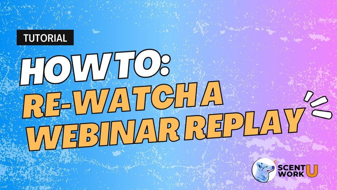 How to Rewatch a Webinar Replay