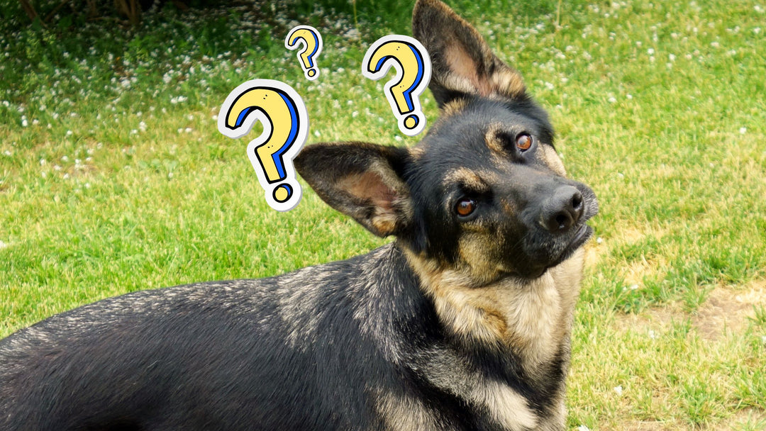 Importance of Reusable Foundation Exercises