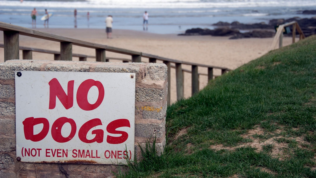 Ruining It For Everyone