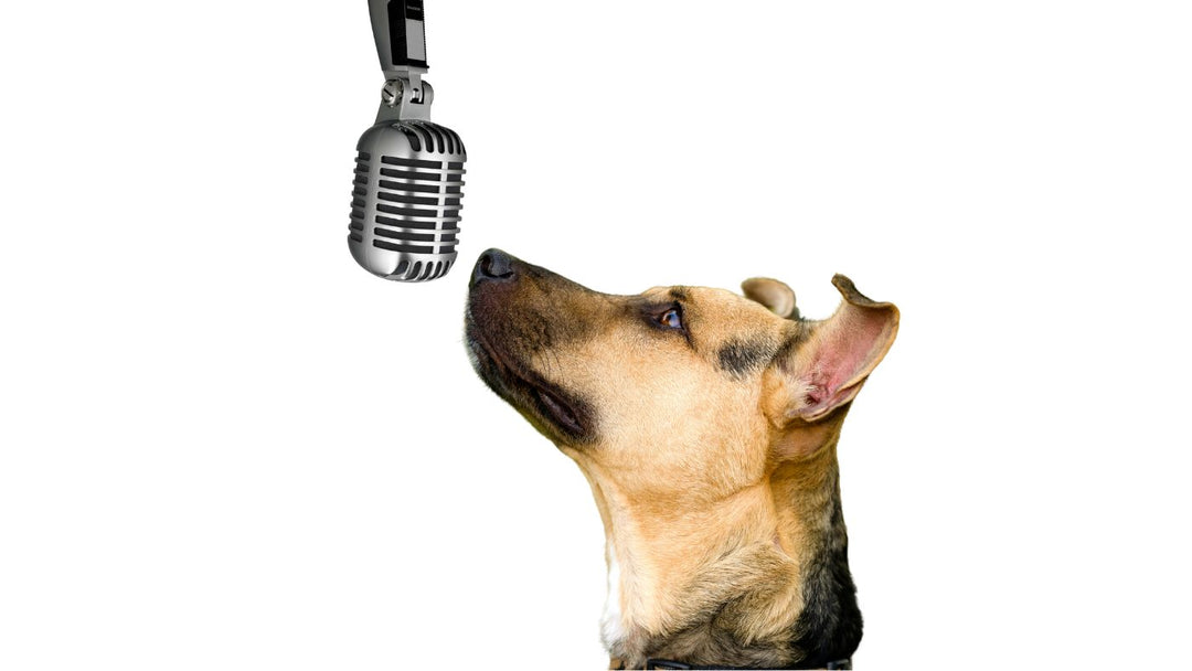 Ep. 97: It Depends - Missed a Hide in Training