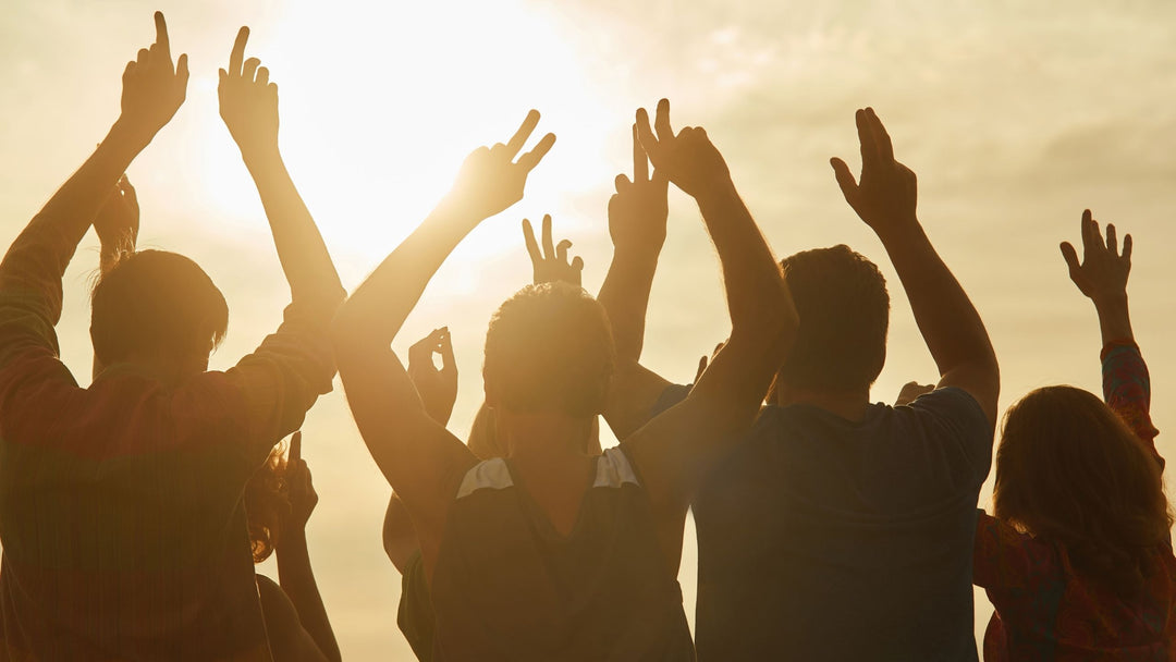 Scent Work is a Social Activity