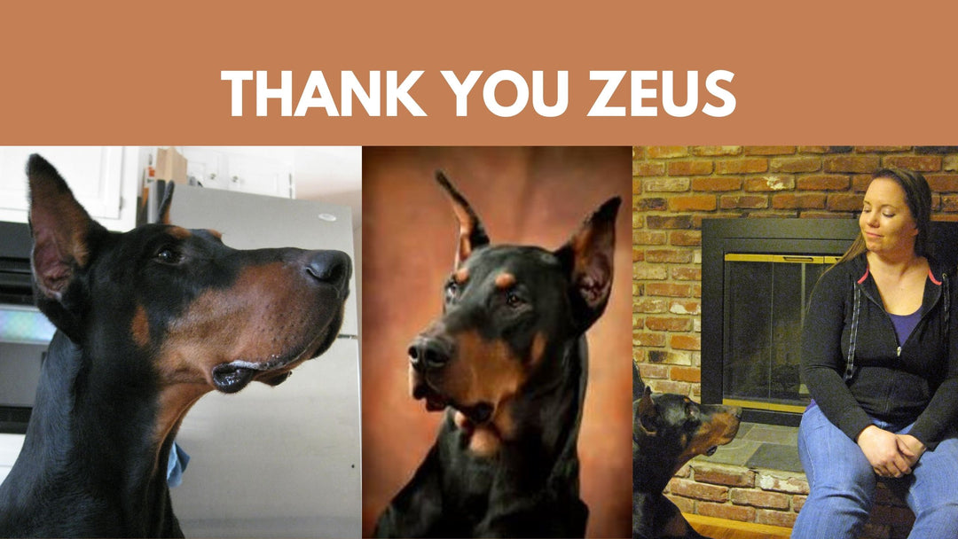 Why I Got Involved in Scent Work