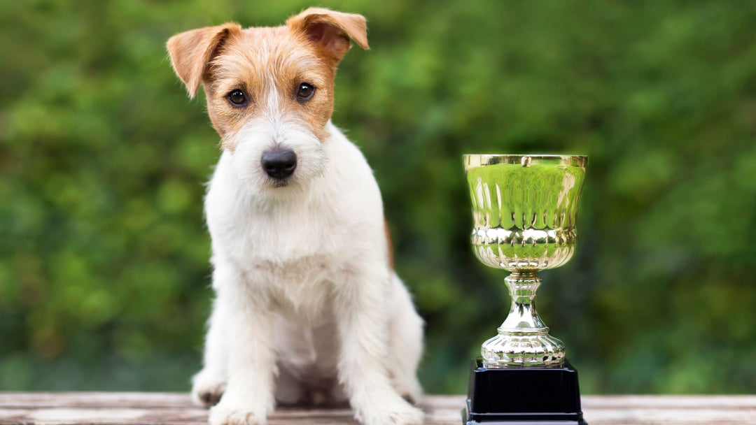 To Trial or Not to Trial...That is the Question