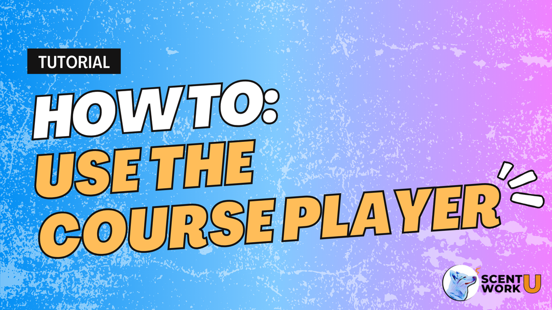 How to Use the Course Player