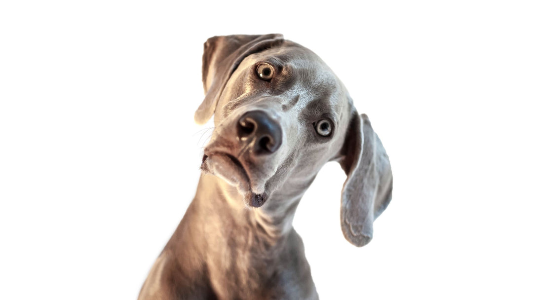 You Are Not Perfect...And That is Okay