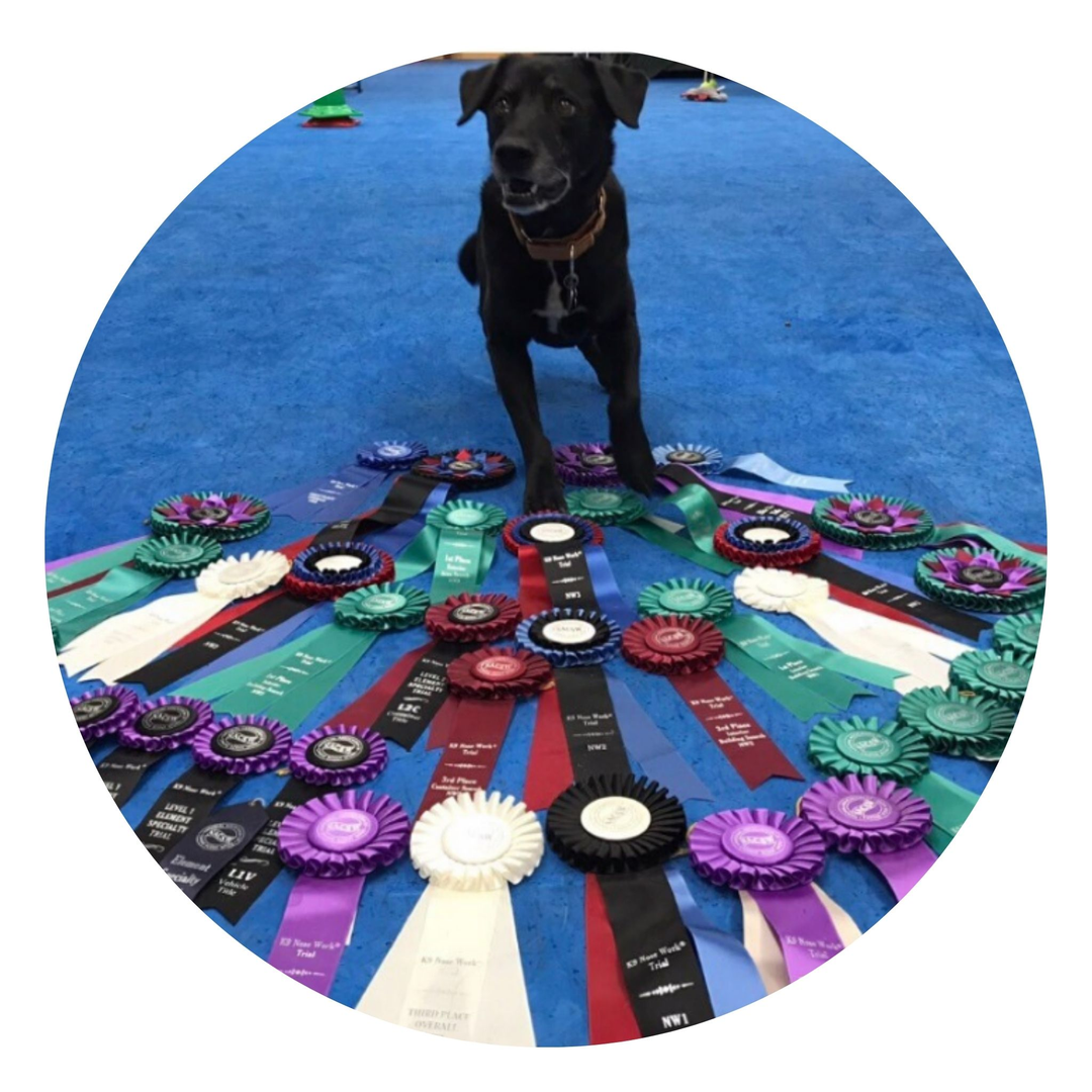 Meet Khara Schuetzner