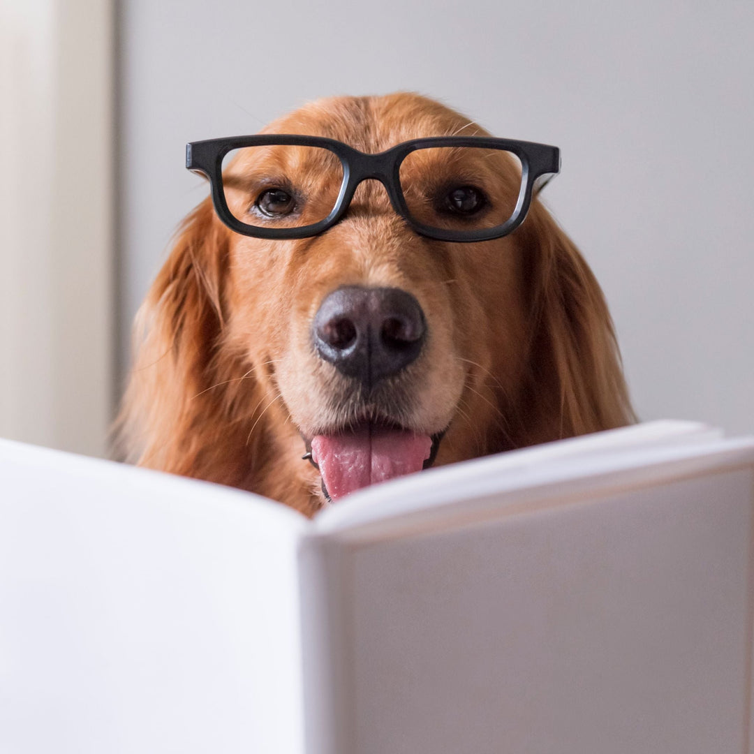 Pet Dog U - eBooks and Digitial Downloads