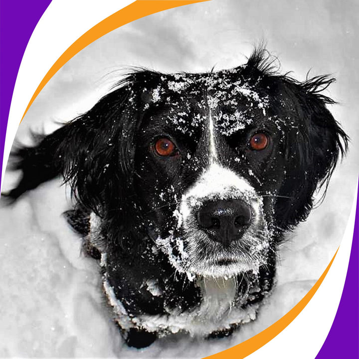 5 Mental Games for Winter Webinar