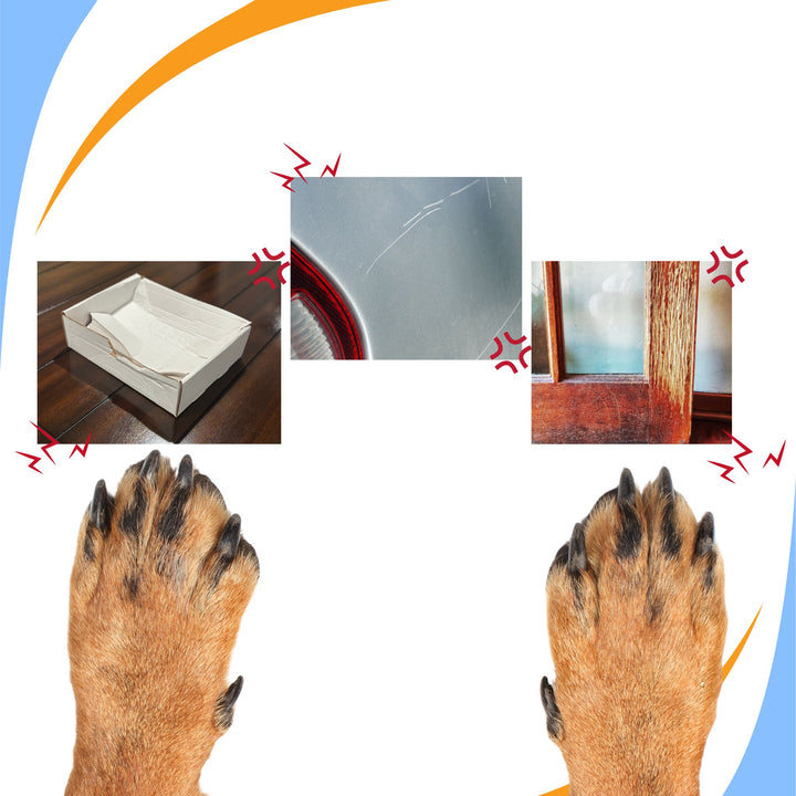 Aggressive Alerts: Causes and Solutions Webinar