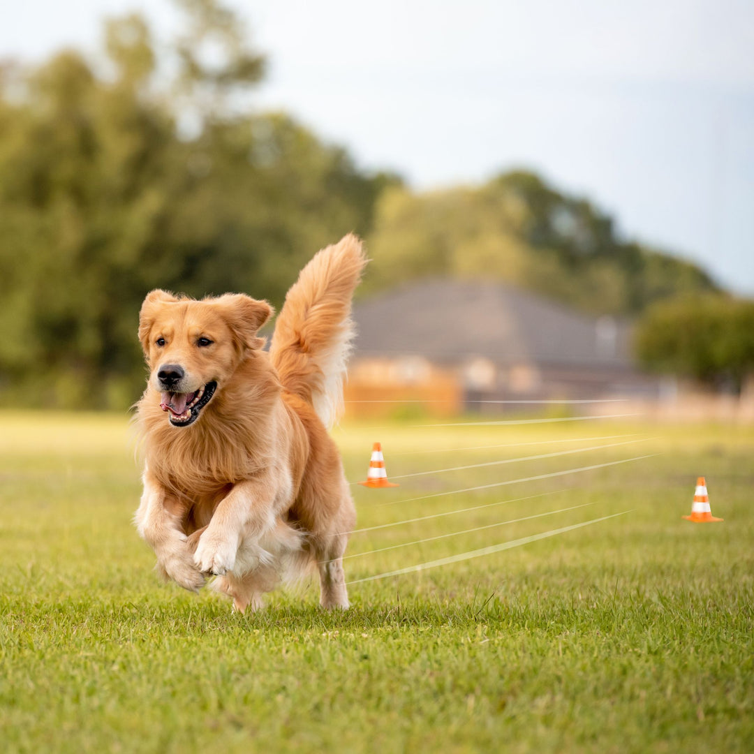 Blast Busters Webinar