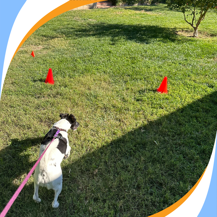 Boundaries: From Start Lines to Flags and Cones Webinar