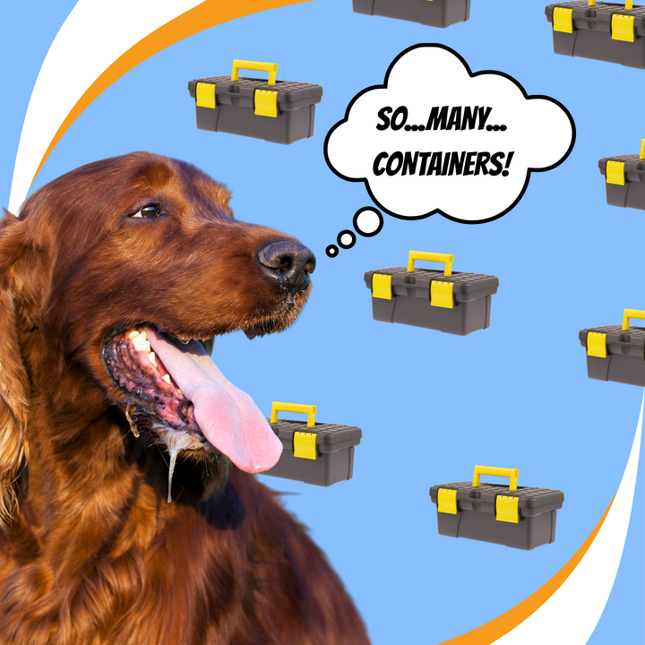 Building Endurance in Container Searches Webinar