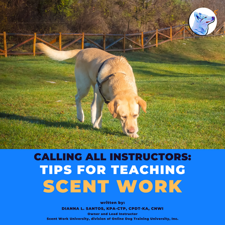 Calling All Instructors: Tips for Teaching Scent Work eBook
