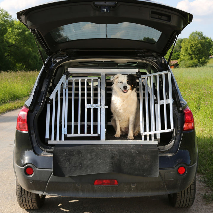 Car Crate Crazy Webinar