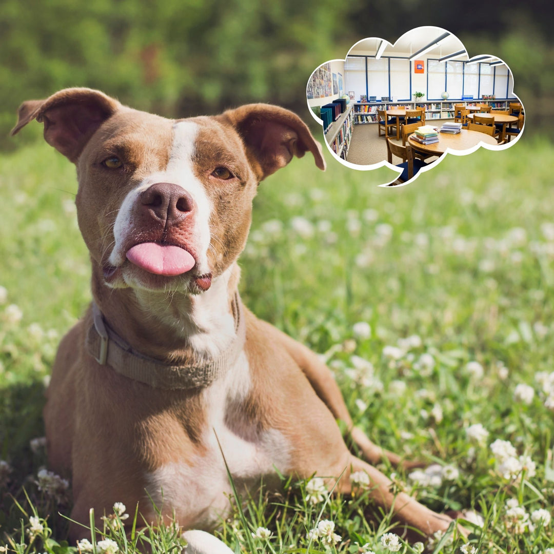 Cause and Cure for False Alerts: Interior Searches Webinar