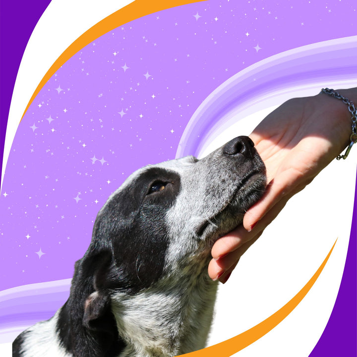 Chin Target Training Tidbit