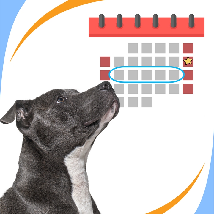 What to Do: Days After the Trial Webinar