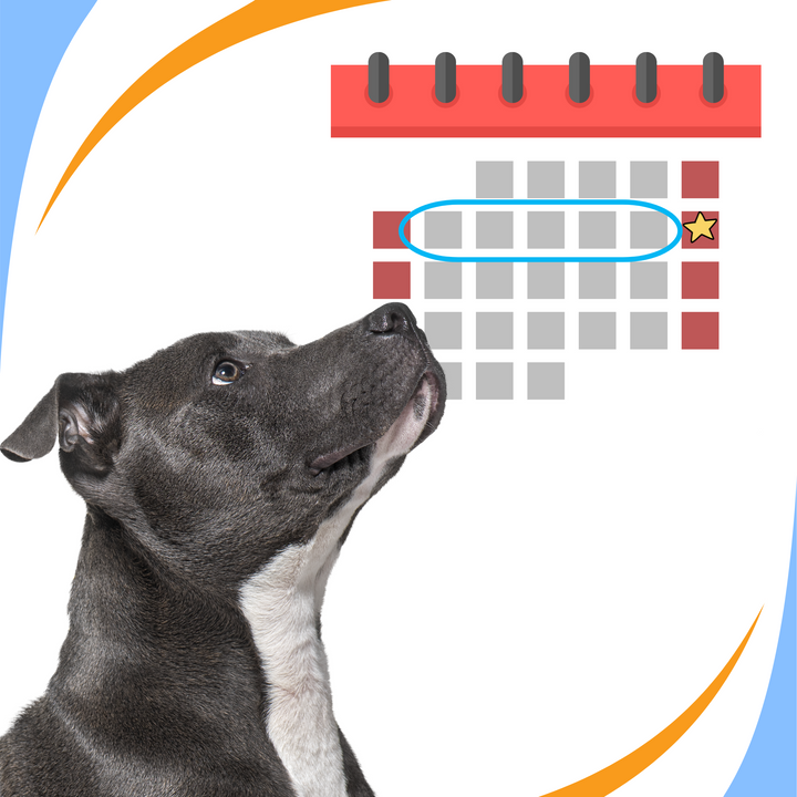 What to Do: Days Before a Trial Webinar