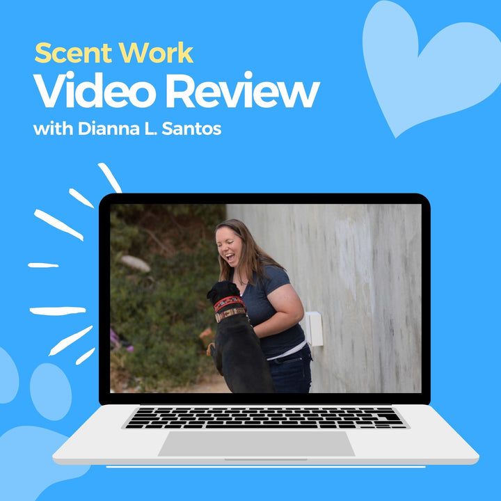 Scent Work Video Review: Dianna L. Santos