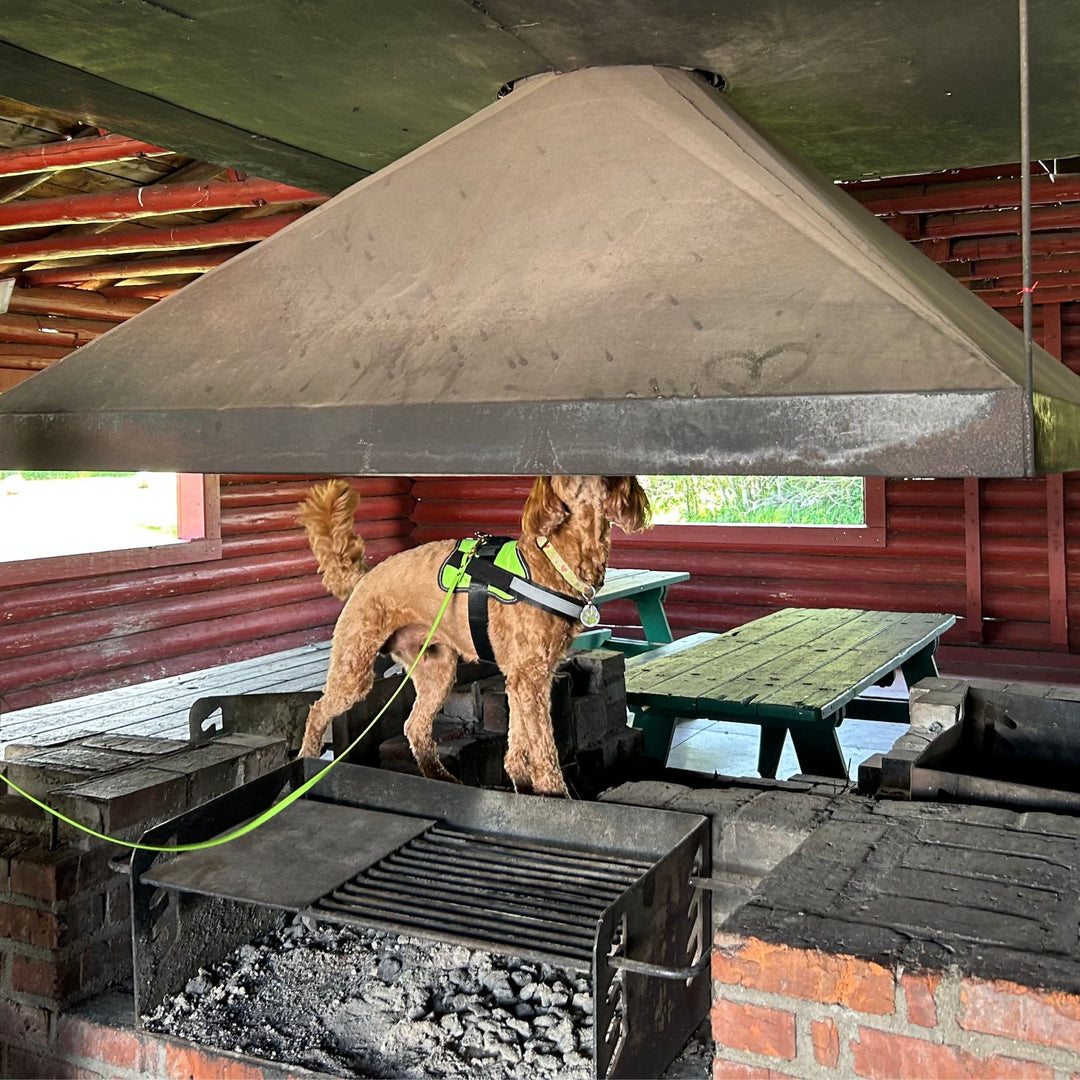 Elevation Elation: Build and Use Body Awareness Webinar