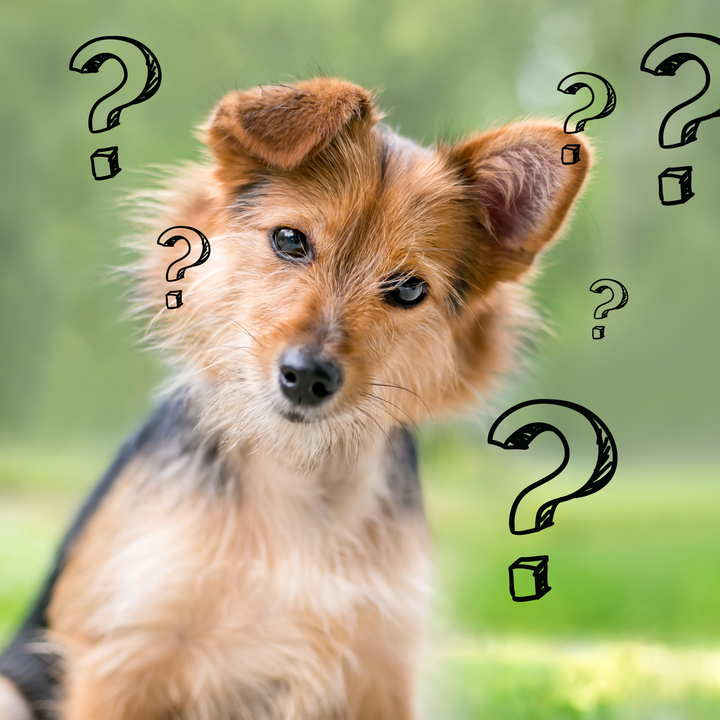 Fading Pairing: Yay or Nay Webinar