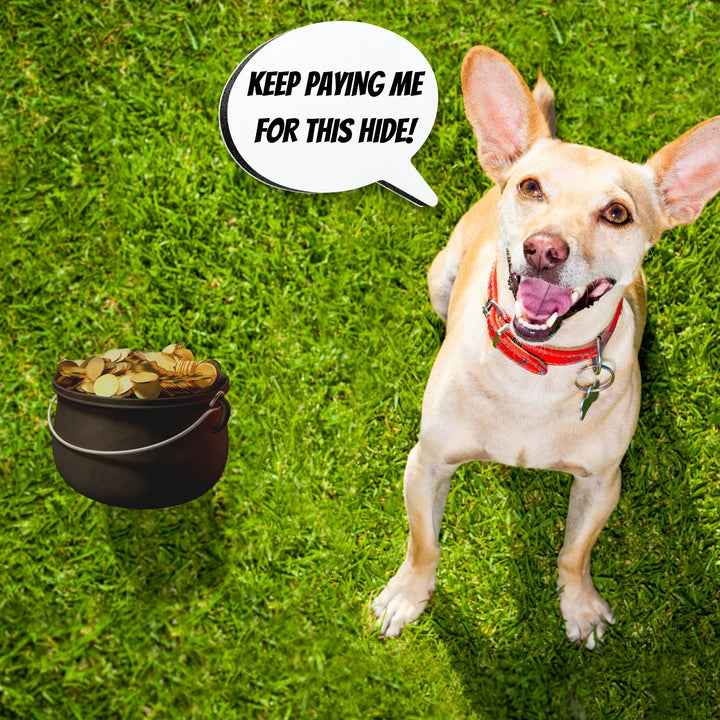 Go Find a New Hide, Please Webinar