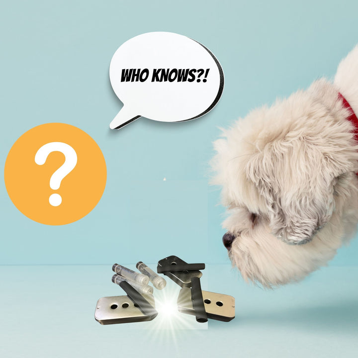 Find Your Hide - Proofing for Messy Odor Profile Webinar