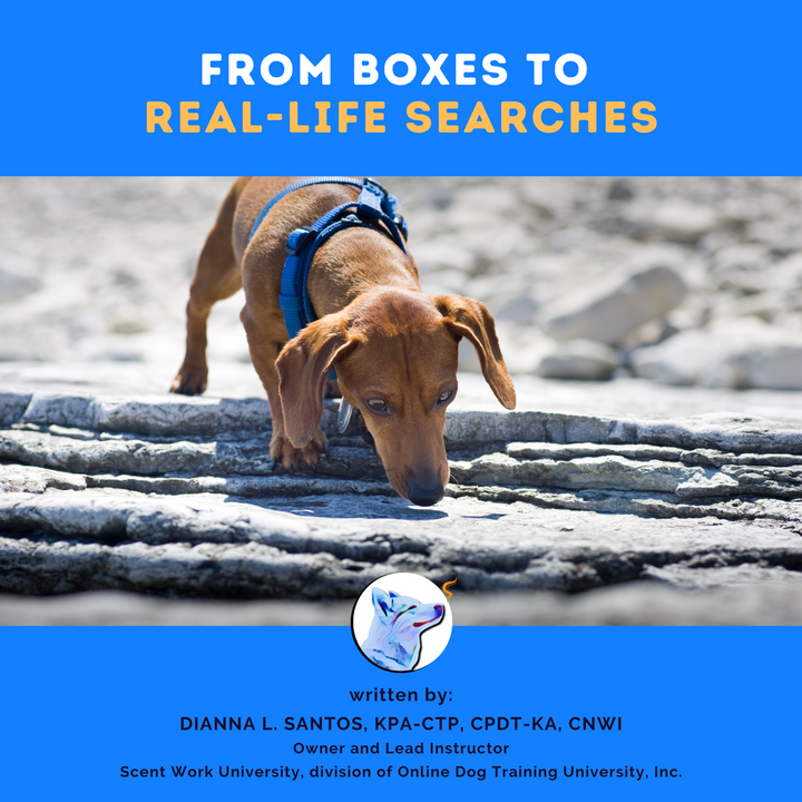 From Boxes to Real-Life Searches eBook