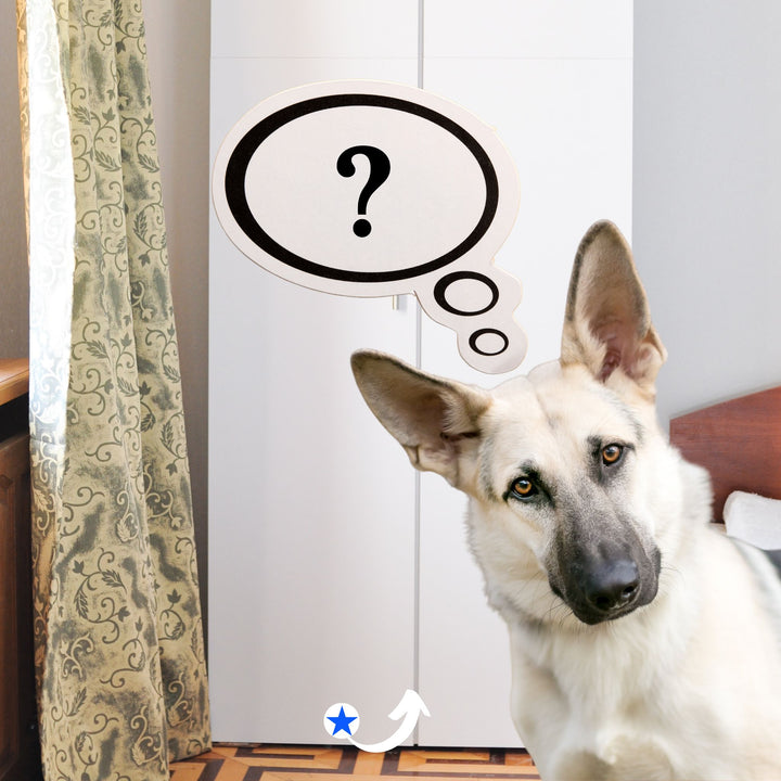 Inaccessible Hides Webinar