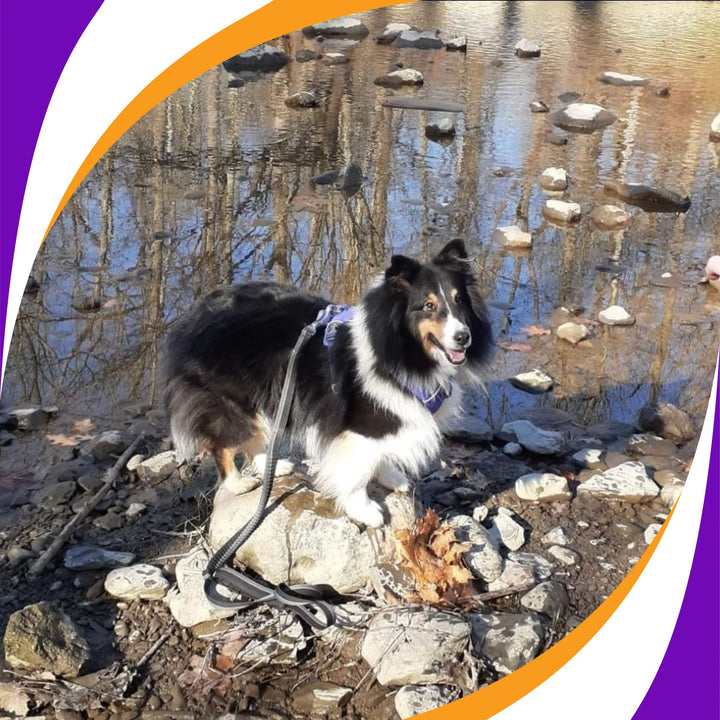 Intermediate Parkour I Course