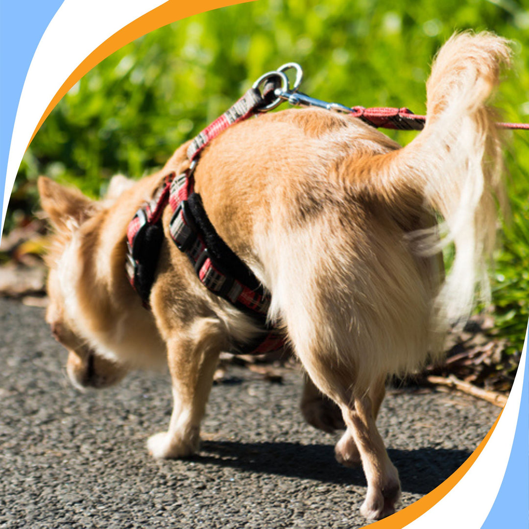 It's About More Than Just Stuff Webinar