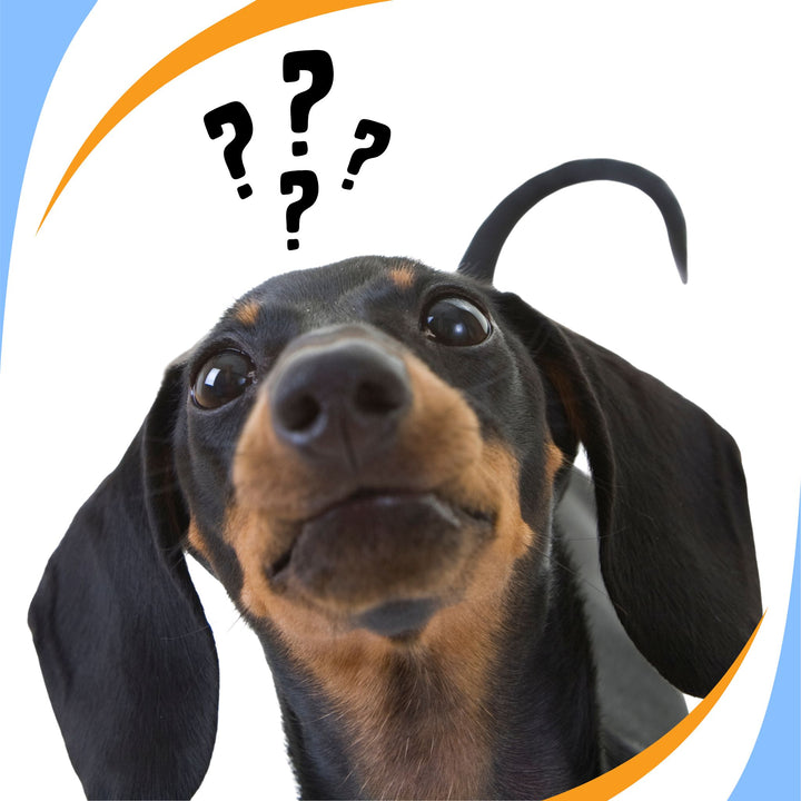 Is That Pooling or Something Else Webinar