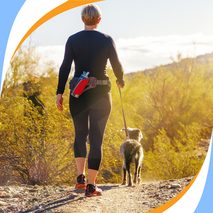 Know Your Role: In Training Webinar