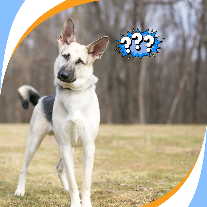 Lacking Problem Solving? Problem Solved! Webinar