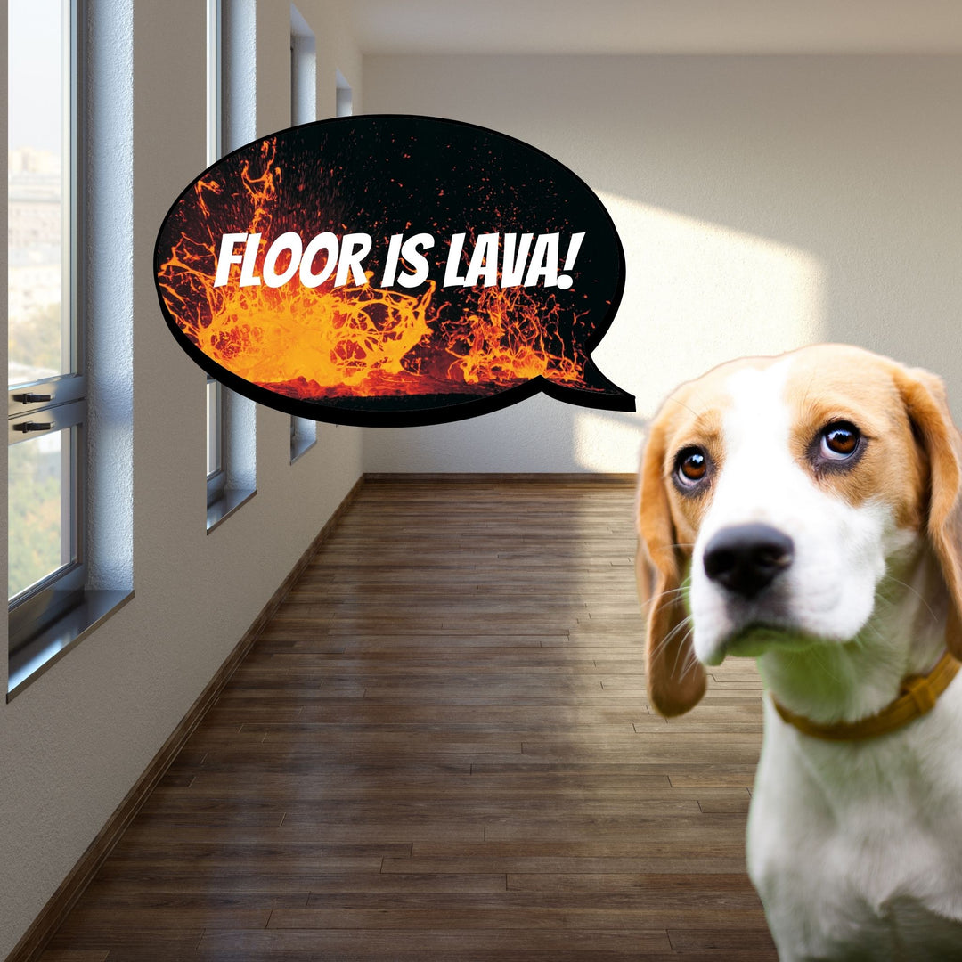 The Floor is Lava Webinar