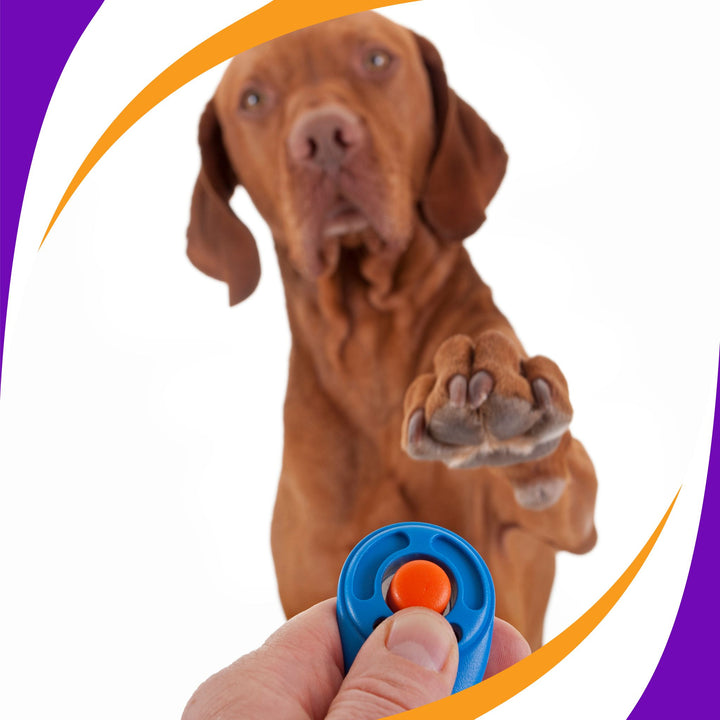 Learn About Clicker Training Webinar