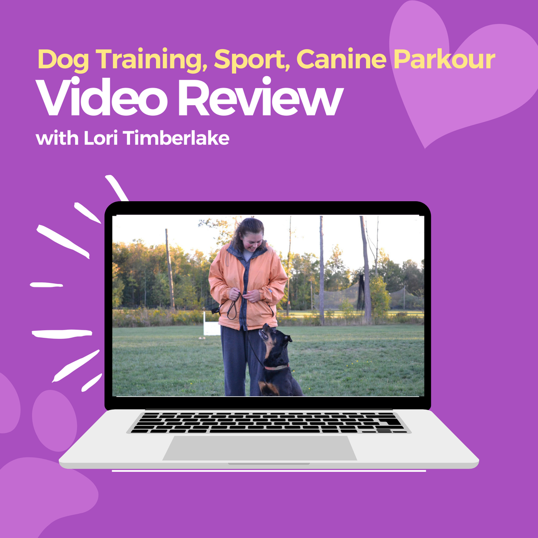 Dog Training, Dog Sport, Canine Parkour Video Review: Lori Timberlake