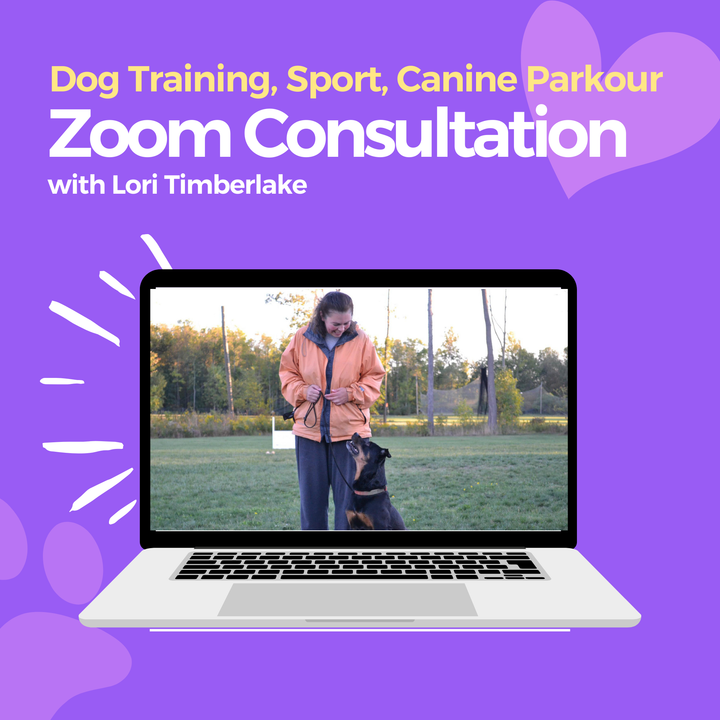 Dog Training, Dog Sport or Canine Parkour Zoom Consultation: Lori Timberlake