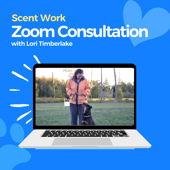 Scent Work Zoom Consultation: Lori Timberlake