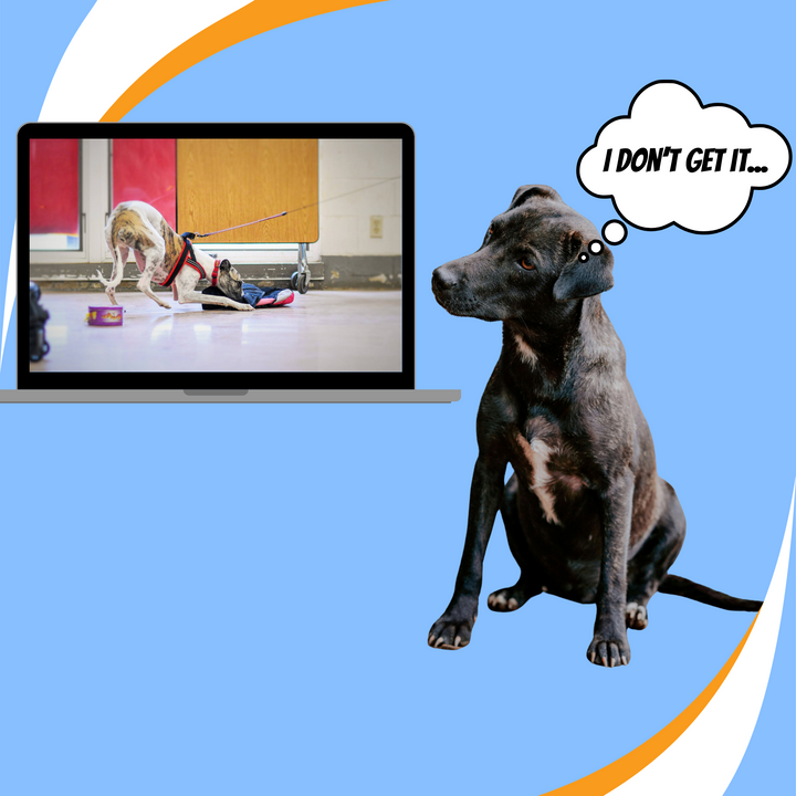 Maintaining and Troubleshooting the Nose Poke Alert Webinar